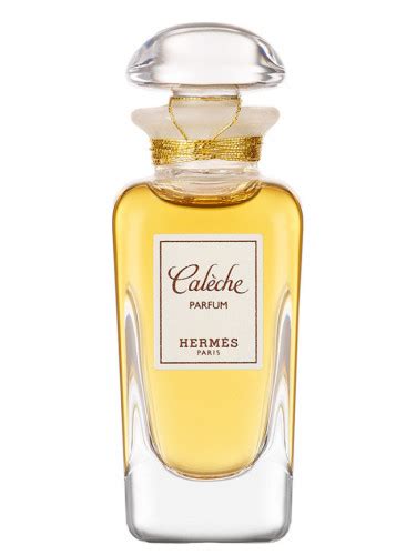 caleche hermes composition|caleche by Hermes cheapest price.